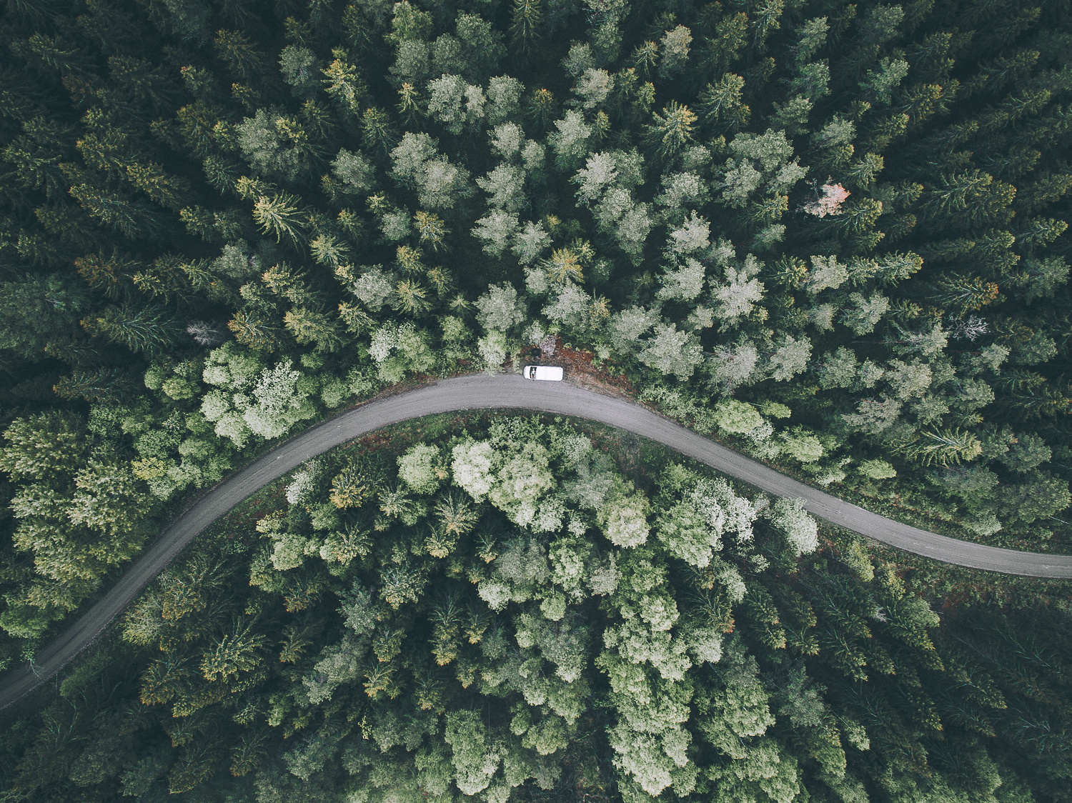 Exploring the World of Drone Photography: Tips, Regulations, and Breathtaking Aerial Shots