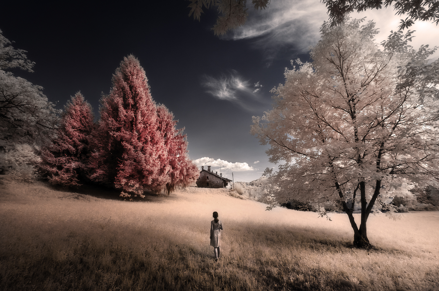 Capturing the Unseen: The Art and Science of Infrared Photography